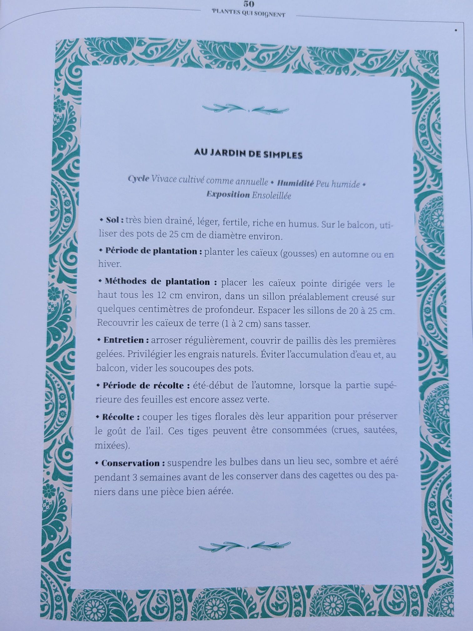 20250818 113537 L 3bd7b